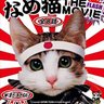 スキット倶楽部₊❀̥୭パシリ担当 profil fotoğrafı