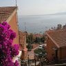 Profilbild von Mark