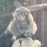 たかかな profil fotoğrafı