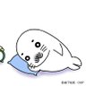 えごまちゃん 的头像