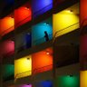 Colourful Label 的头像