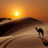 .. يـــاسر #التعاون 的头像