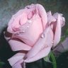 Фото профиля فضه