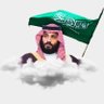 ﮼ابوفیصل 的头像