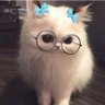catlis06's profile picture