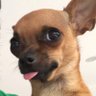 Treadstom's profile picture