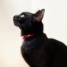 もとき profil fotoğrafı