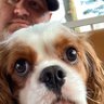 Profilbild von Rich B