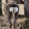 mari f profil fotoğrafı
