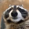 Systox's profile picture