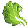 Profilbild von Kimchi