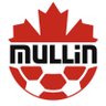 Paul Mullin 的头像