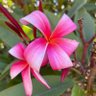 Фото профиля 44Flower