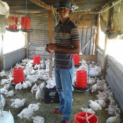 Leshomo Thabang's profile picture