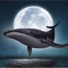 flyingwhale-飞鲸投资笔记 的头像
