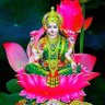 Фото профиля Juhi