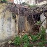 Sheed Ra profil fotoğrafı