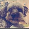みきオカン's profile picture