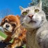 醉拳汤猪迪's profile picture