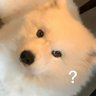 Lucky's profile picture