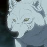 Фото профиля Wolfboy1995