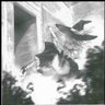 Фото профиля existingman