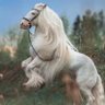 Profilbild von Ywsfalbraiyly675@gmail.com