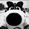 Profilbild von KJC
