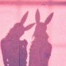 Flipping bunny's profile picture