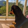 Profilbild von García Bravo M G