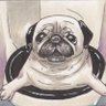 Profilbild von パグ