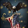 Profilbild von abdulkarim🇺🇸🇾🇪🇺🇸