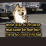 Praney Gupta 的头像