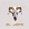 Фото профиля Jefe