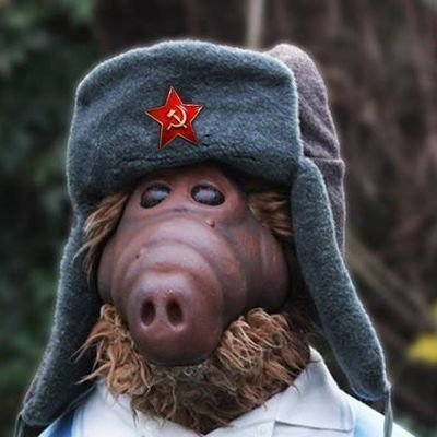 Alfin's profile picture