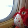 P Tsai's profile picture