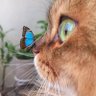 赏精大猎人's profile picture