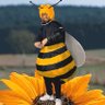 BeeMan 的头像