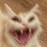 ¯\_( ͡❛ ͜ʖ ͡❛)_/¯ profil fotoğrafı