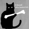 catmantoo 的头像