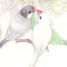Profilbild von たくみ親馬鹿 🎵