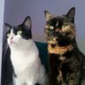 Pili Luque profil fotoğrafı