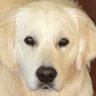 Profilbild von Mav