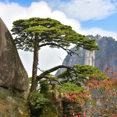 Go Great Huangshan Mountain's profile picture