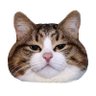 goodboyhana profil fotoğrafı