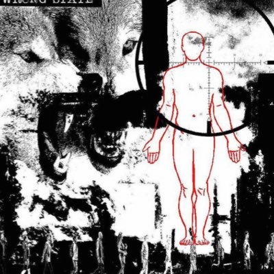 wrongstatehc's profile picture