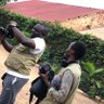 Ahmed Bogere Masembe 的头像