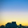 Фото профиля Lin William