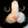 Profilbild von หม่อม