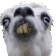 Lentix profil fotoğrafı